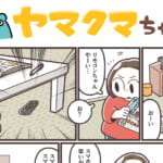 ヤマクマちゃん vol.106